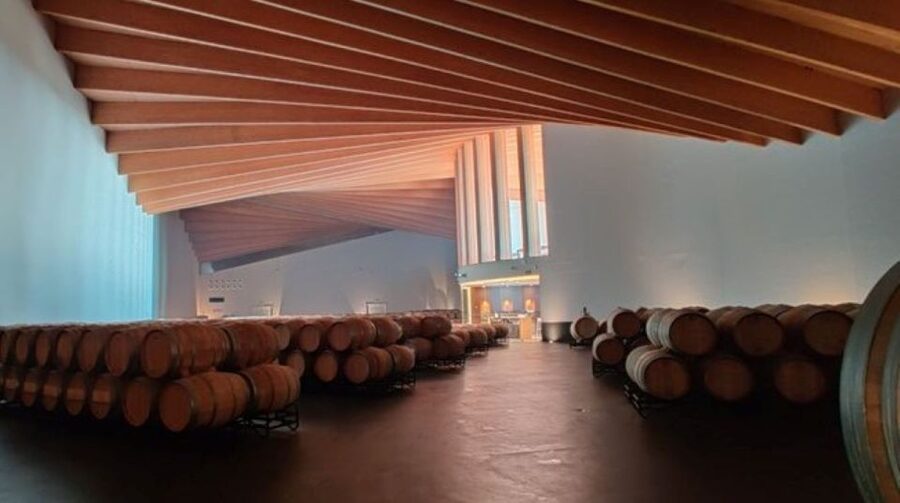 From Bilbao: Rioja Architecture and Wine Tour - Who should book this Rioja day trip?