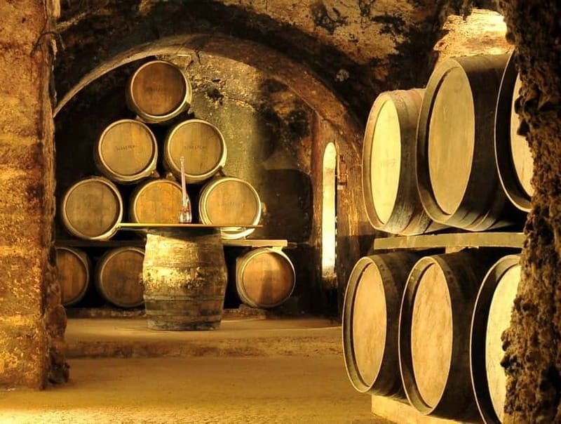 From Bilbao: Rioja Wine Region with Winery & Vitoria-Gasteiz - Laguardia, a medieval town with wine underfoot