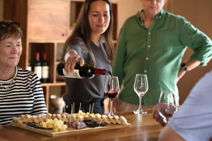 From Bordeaux: Afternoon Saint-Emilion Wine Tasting & snack - Who should book this experience?
