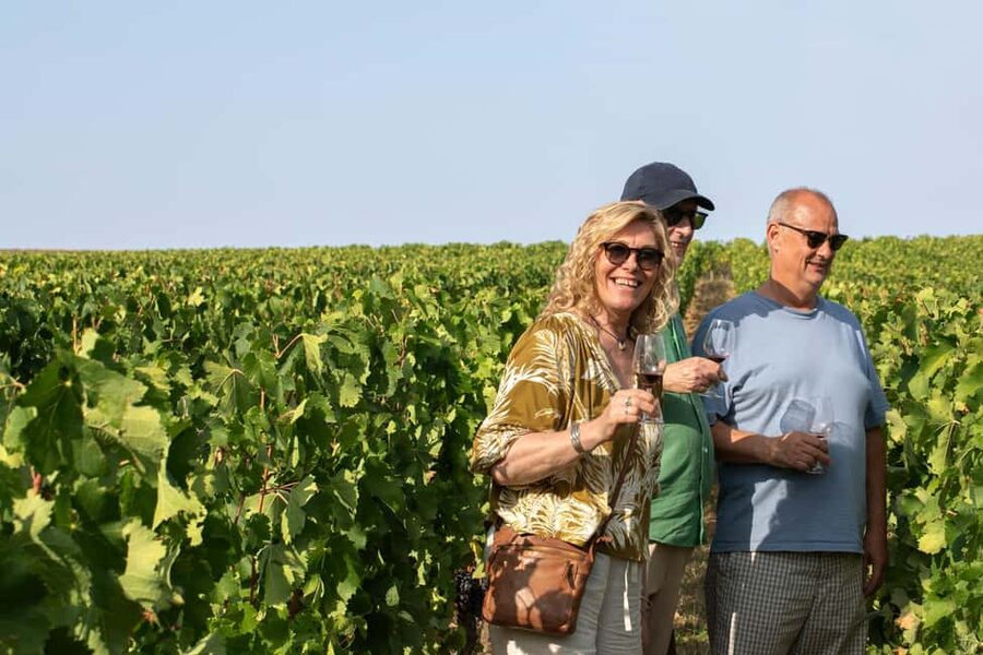 From Bordeaux: Afternoon Saint-Emilion Wine Tasting & snack - Leaving Bordeaux from Quinconces Square
