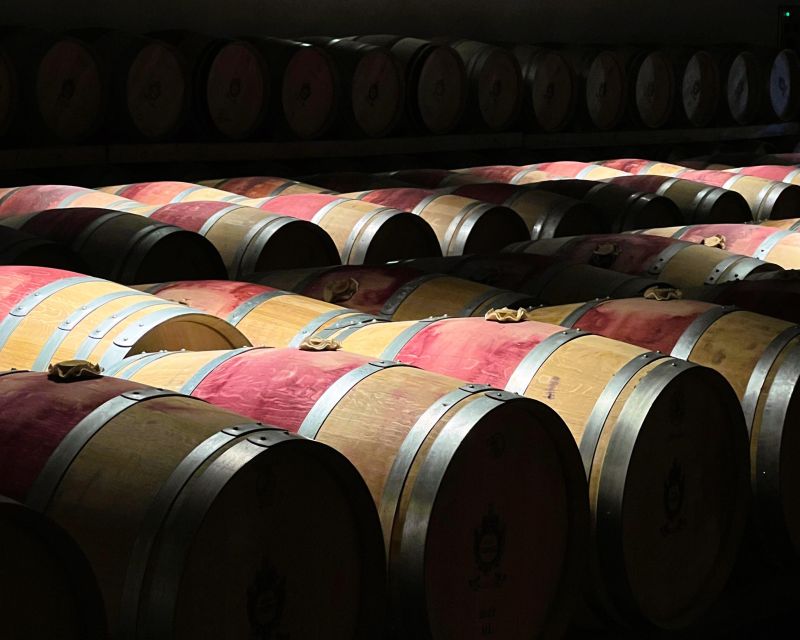 From Bordeaux: Essential Morning Tour with Wine Tasting - Tasting two or three Bordeaux wines