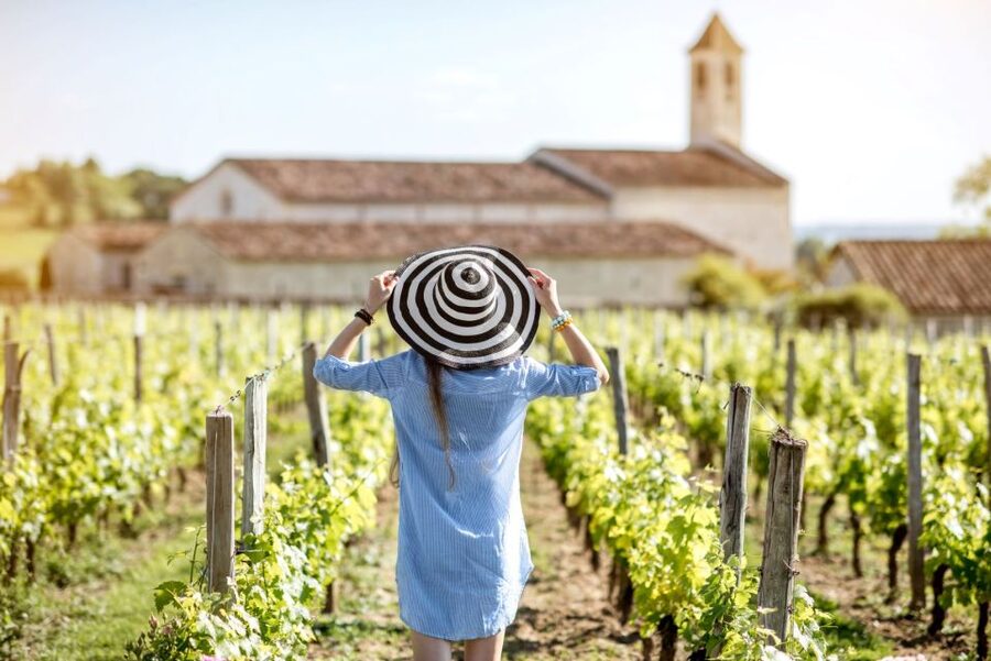 From Bordeaux: Full-Day St Emilion Wine Tasting Tour - Key points at a glance