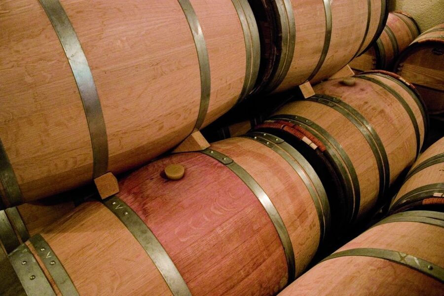 From Bordeaux: Full-Day St Emilion Wine Tasting Tour - Who should book this tour?