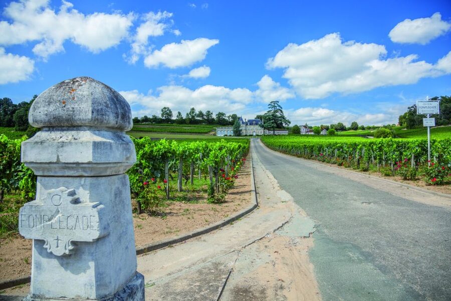 From Bordeaux: Full-Day St Emilion Wine Tasting Tour - Understanding the Libournais and Right Bank