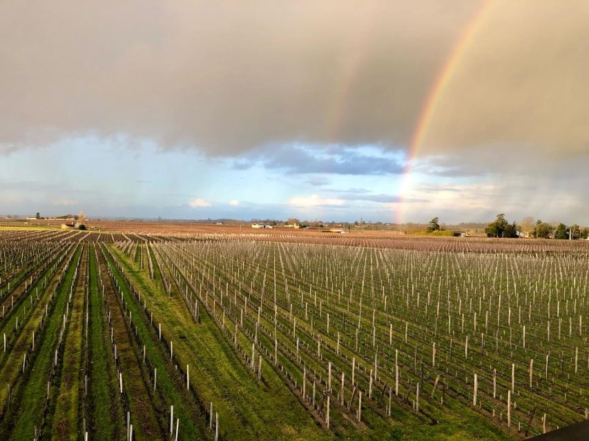 From Bordeaux: Half-Day Saint-Emilion Wine Tour - Saint-Émilion after the first tasting