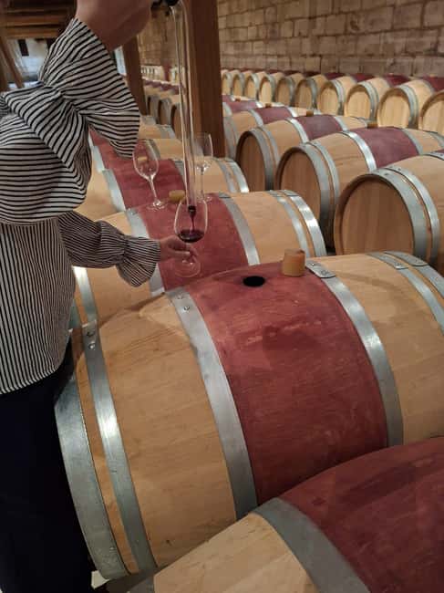 From Bordeaux: Medoc Wineries Tour with Tastings - The 1855 estate: the main event