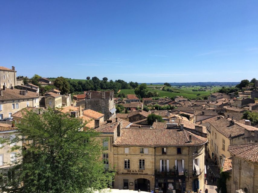 From Bordeaux: Saint-Emilion Guided Wine Tasting Tour - Why the guides matter so much