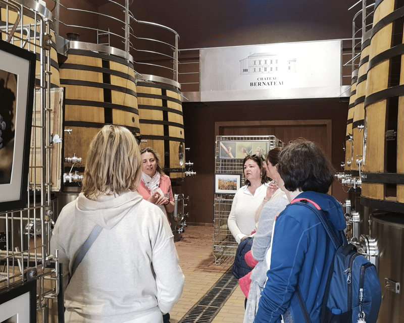 From Bordeaux: Saint-Émilion Half-Day Tour with Wine Tasting - Should you book it?