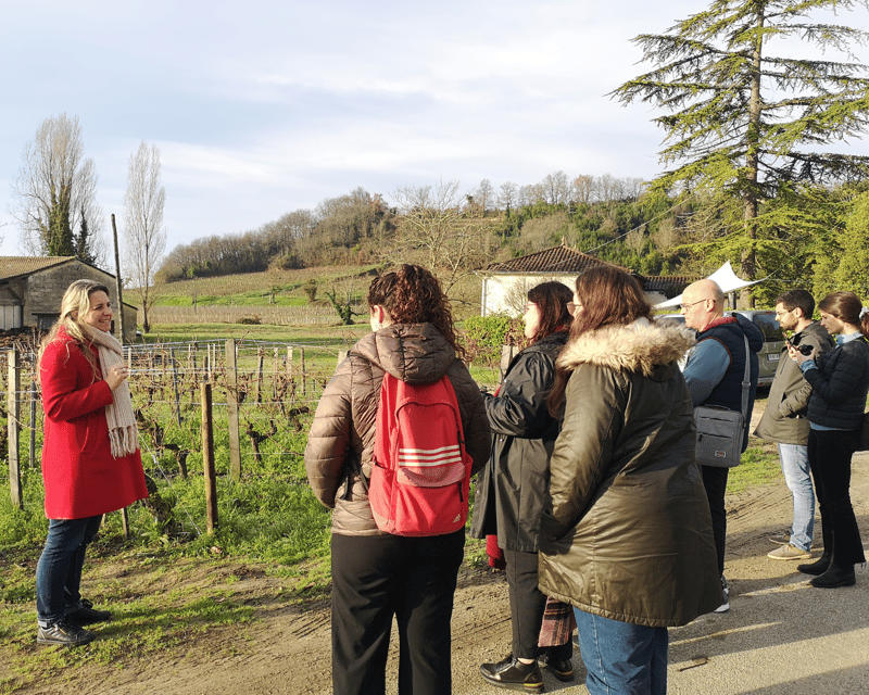 From Bordeaux: Saint-Émilion Half-Day Tour with Wine Tasting - Walking Saint-Émilion’s medieval streets