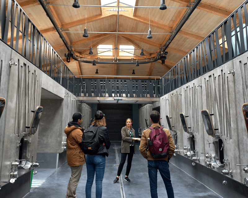 From Bordeaux: Saint-Émilion Half-Day Tour with Wine Tasting - Visiting an organic family winery