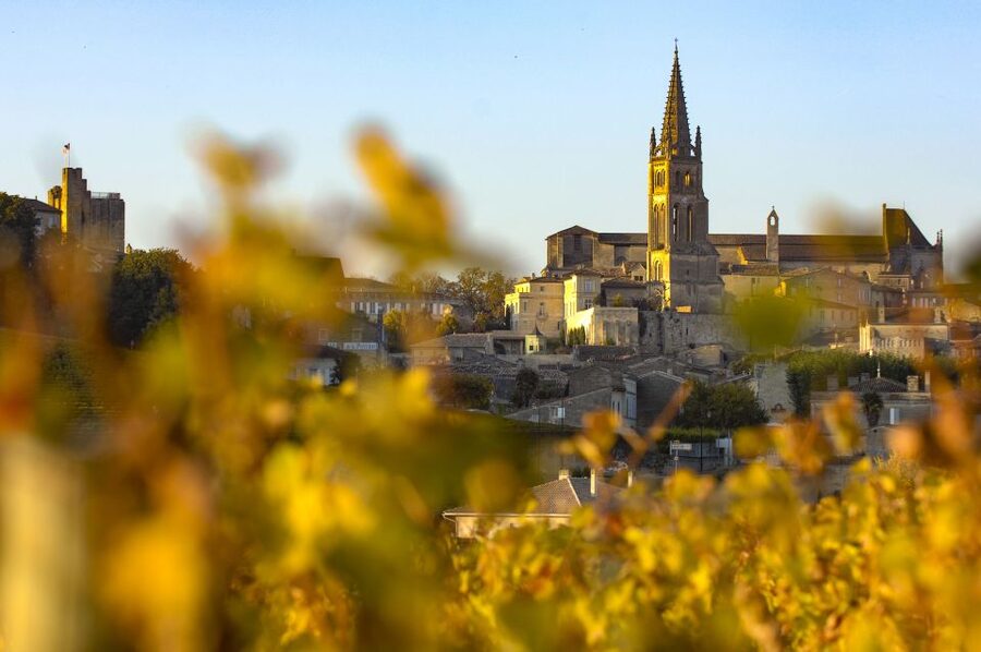 From Bordeaux: St. Emilion Village Half-Day Wine Tour - Wine education without the classroom feeling
