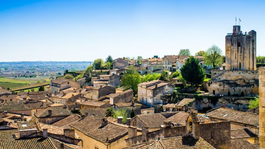 From Bordeaux: St. Emilion Village Half-Day Wine Tour - Who should book this experience?