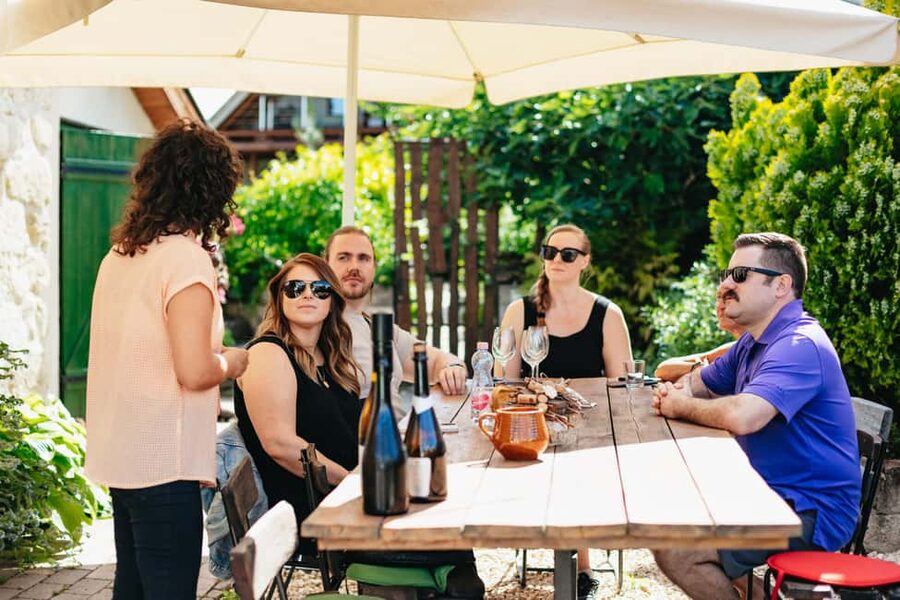 From Budapest: Half-Day Countryside Wine Tour with Meal - The First Winery: Small-Scale Wine With a Personal Touch