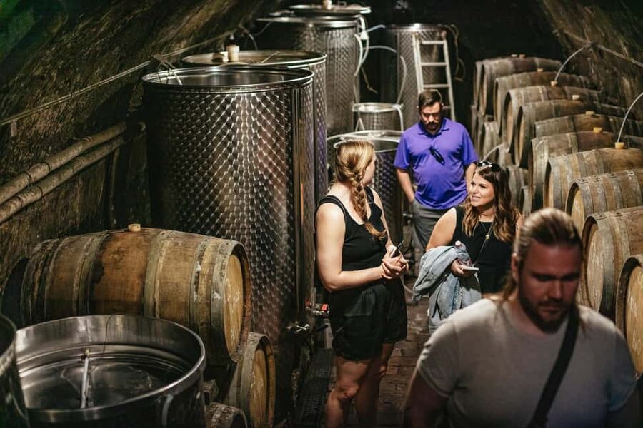 From Budapest: Half-Day Countryside Wine Tour with Meal - The Main Drawbacks to Keep in Mind