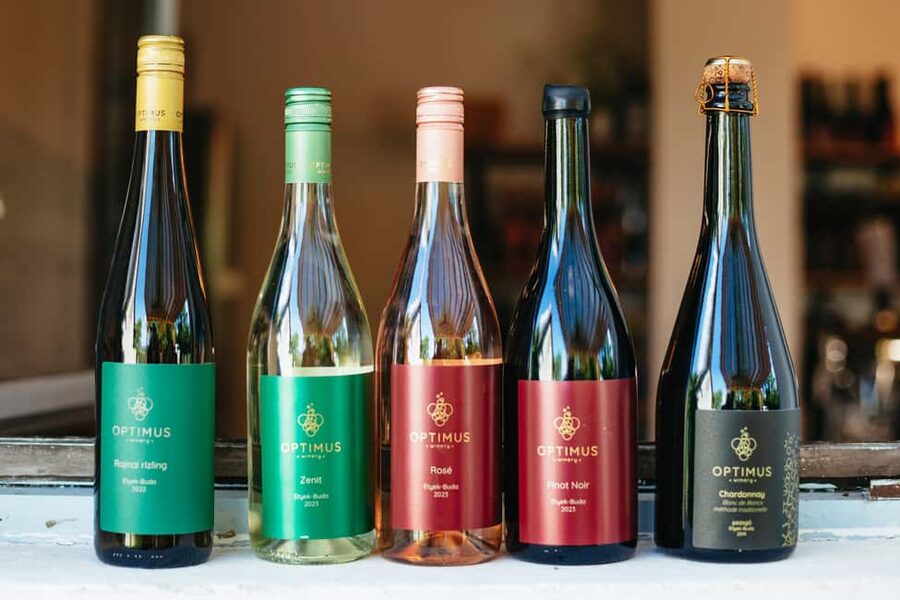 From Budapest: Half-Day Countryside Wine Tour with Meal - Should You Book It?