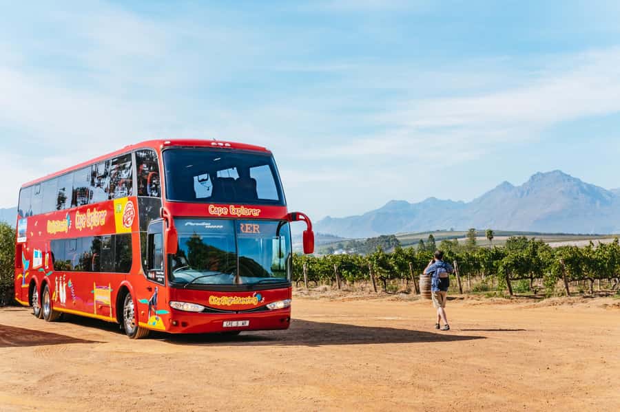 From Cape Town: 3 Regions Wine Tour with 3 Estates, 15 Wines - What makes this Cape Winelands tour worth considering
