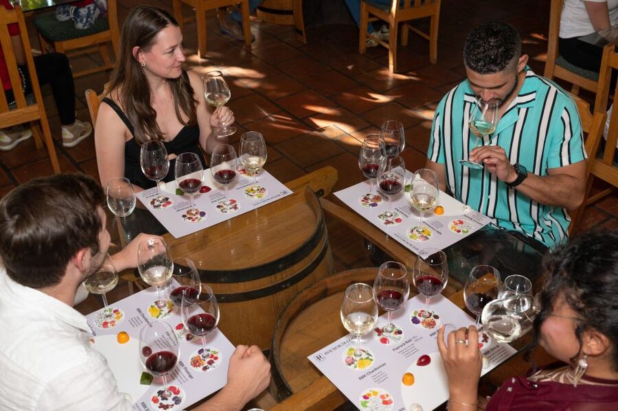 From Cape Town: 3 Regions Wine Tour with 3 Estates, 15 Wines - Who should book this tour?