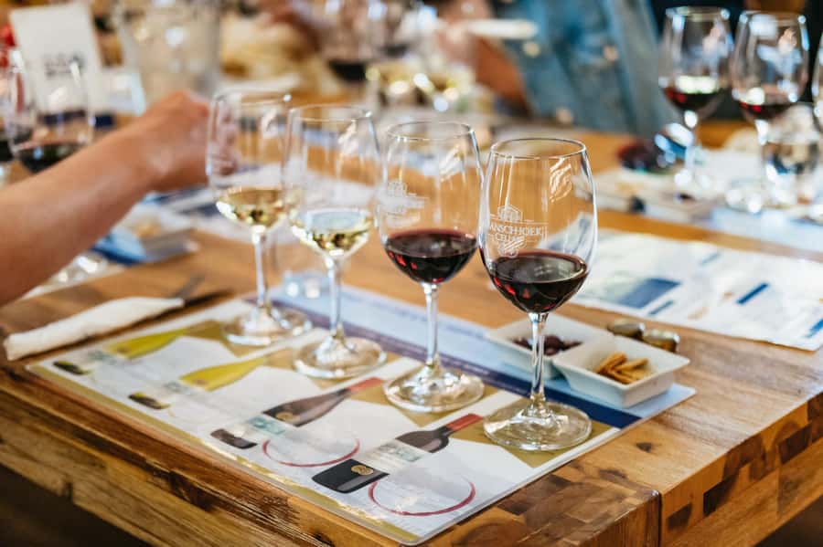 From Cape Town: 3 Regions Wine Tour with 3 Estates, 15 Wines - Stellenbosch: a short walk through South African wine history