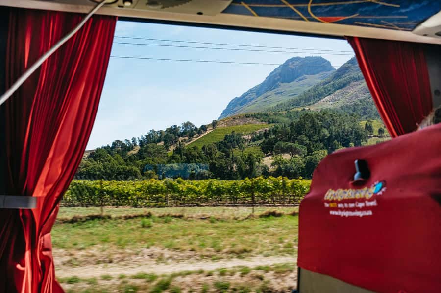 From Cape Town: 3 Regions Wine Tour with 3 Estates, 15 Wines - The guide can make or break the experience