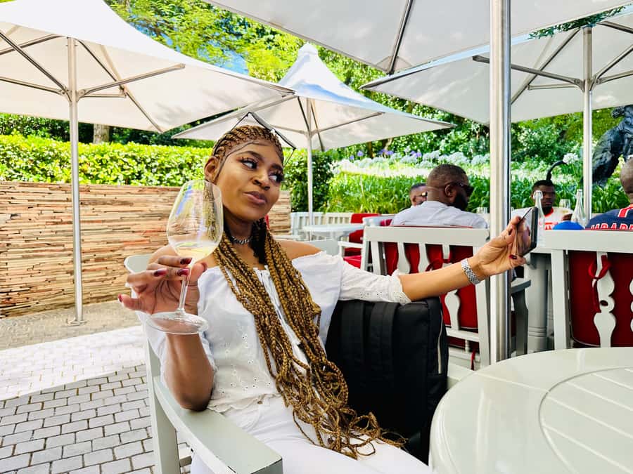 From Cape Town: Stellenbosch & Franschhoek Wine Tasting Tour - What the guide and vehicle add