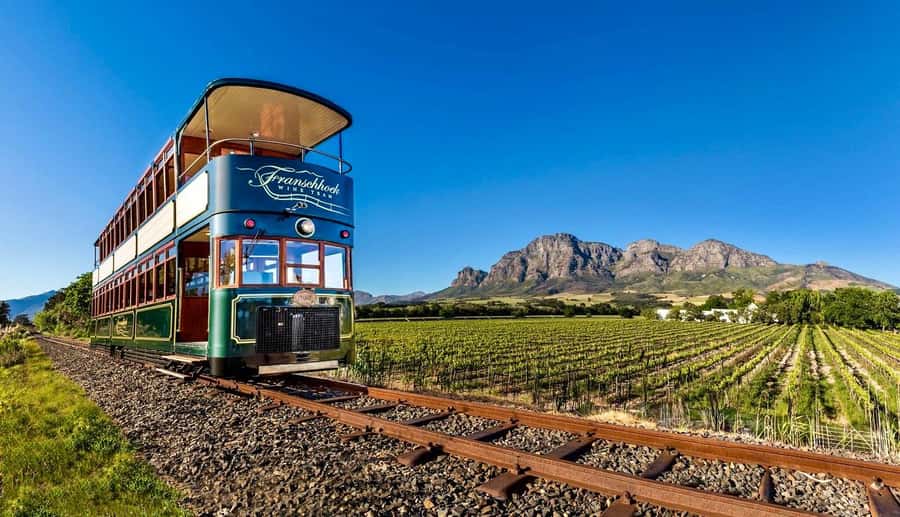 From Cape Town: Winelands Full Day Tour and Wine Tasting - Three Tastings, Three Different Impressions