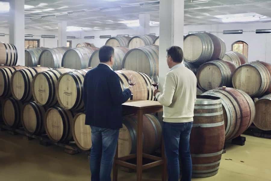 From Cape Town: Winelands Full Day Tour and Wine Tasting - Timing, Transport, and the Pace of the Day