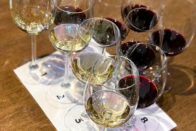 From CapeTown: Stellenbosch Half Day Wine Tour - What a cellar visit adds to the wine tasting