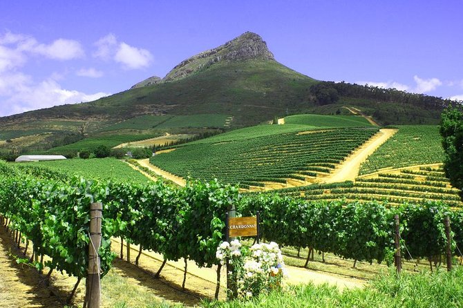 From CapeTown: Stellenbosch Half Day Wine Tour - Second farm: five wines with South African biltong