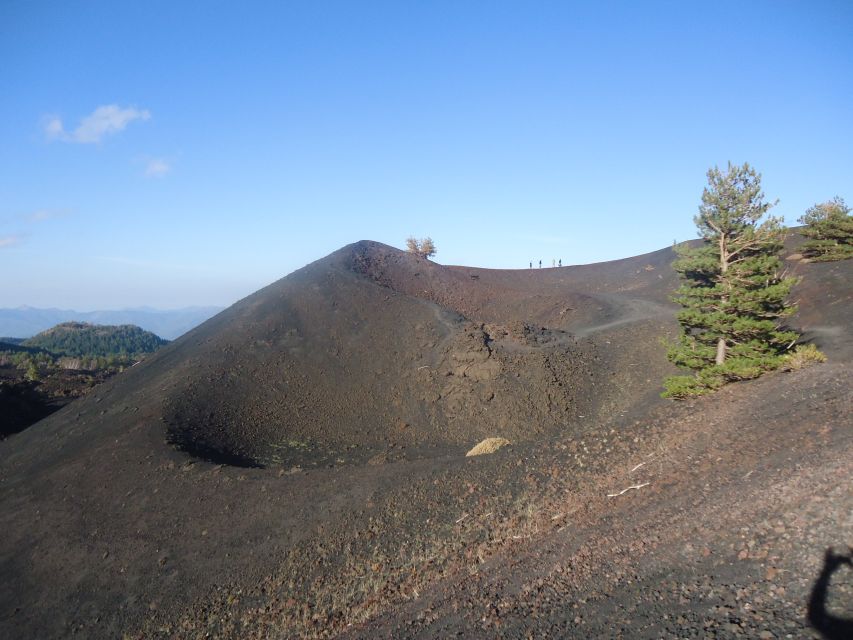 From Catania: Mount Etna Half-Day Tour and Wine Experience - Is the seven-hour schedule good value?