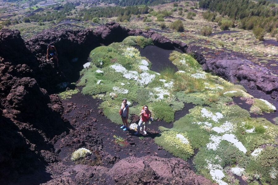 From Catania: Mount Etna Half-Day Tour and Wine Experience - Inside a lava cave with helmets and torches