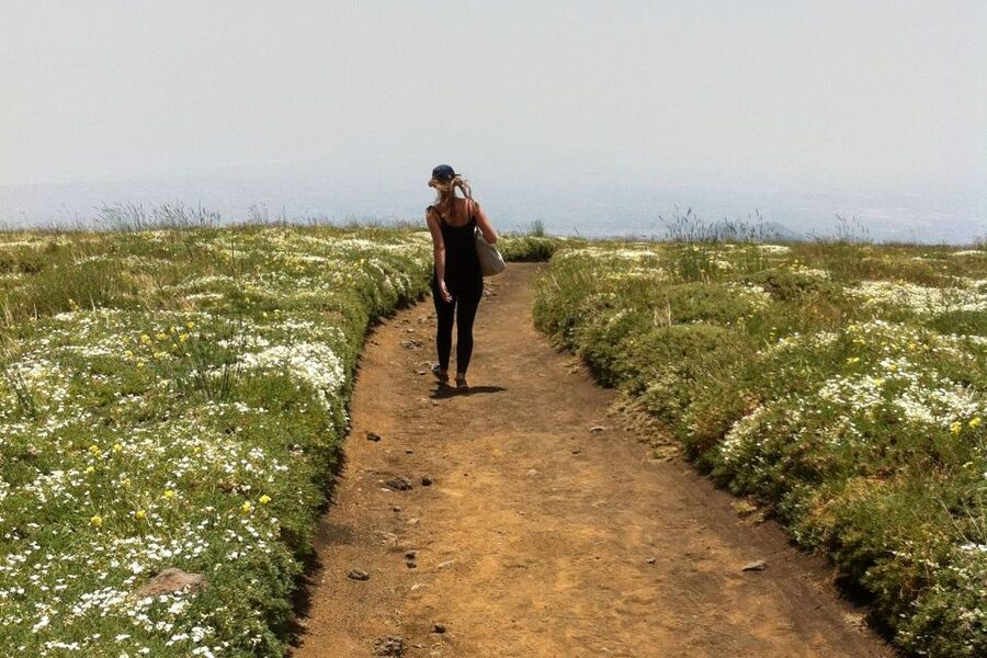 From Catania: Mount Etna Half-Day Tour and Wine Experience - The guides make the difference