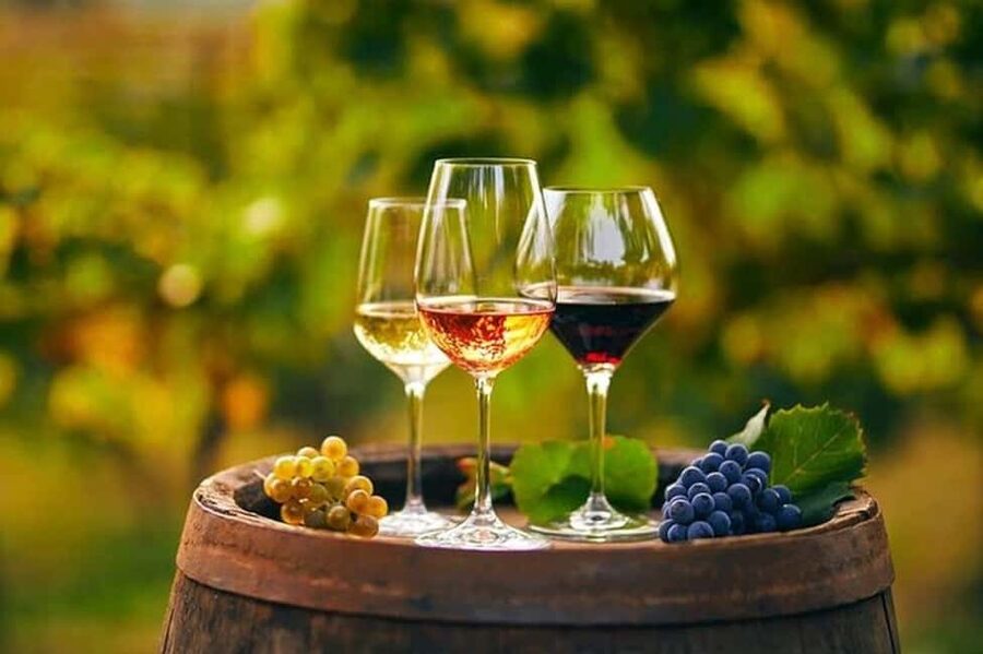 From Chania: Olive Oil, Wine, Cheese & Honey Tasting Tour - The essentials at a glance