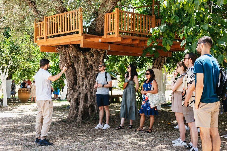 From Chania: Wine and Olive Oil Tasting Tour with Snacks - The day in five useful points