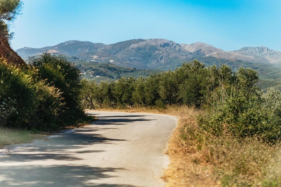 From Chania: Wine and Olive Oil Tasting Tour with Snacks - The second winery and ten-wine rhythm