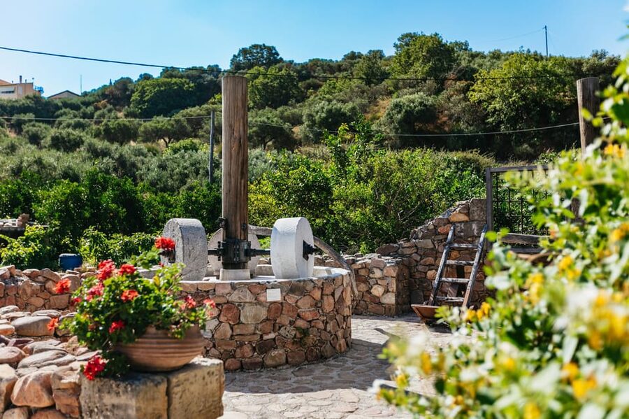 From Chania: Wine and Olive Oil Tasting Tour with Snacks - Is $141 a fair price?