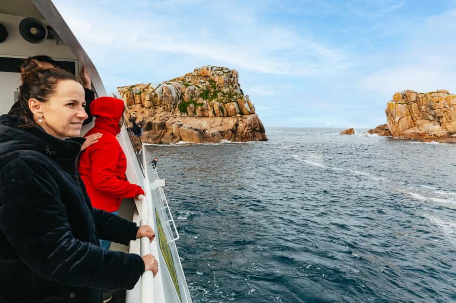 From Coles Bay: Wineglass Bay Cruise with Lunch - Wildlife spotting is part of the fun