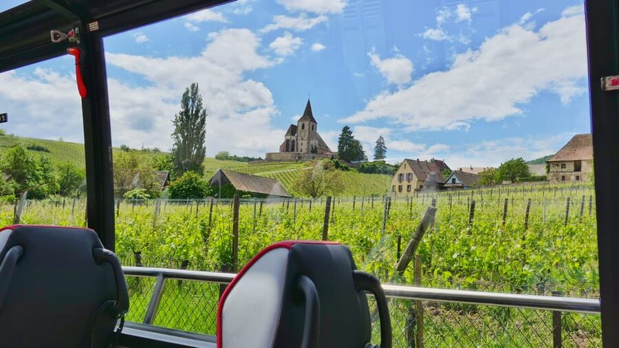 From Colmar: Alsace Medieval and Wine Tasting Day Tour - How the timing works in real life