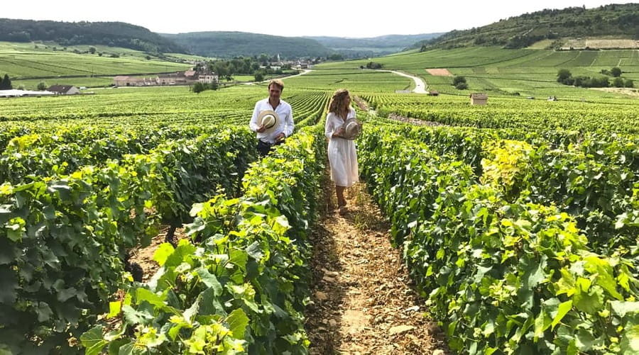 From: Dijon/Beaune: Burgundy Region Winery Tour with Lunch - Key points at a glance