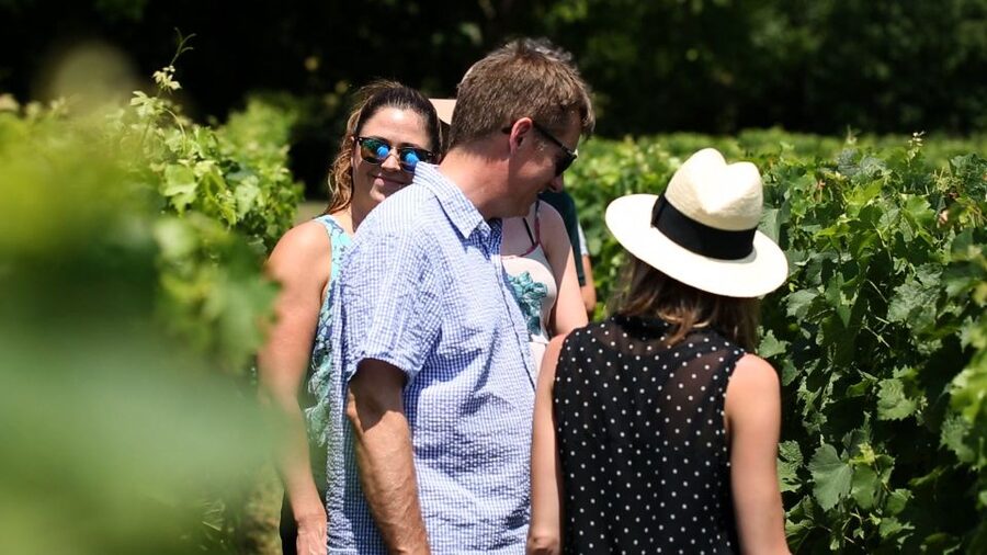 From: Dijon/Beaune: Burgundy Region Winery Tour with Lunch - Lunch turns Burgundy’s food culture into part of the day
