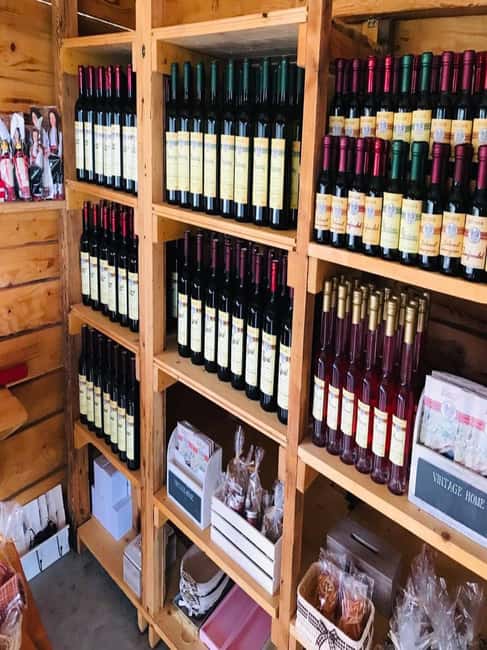 From Dubrovnik: Half-Day Wine Tasting and Cavtat City Tour - Quick points before you book