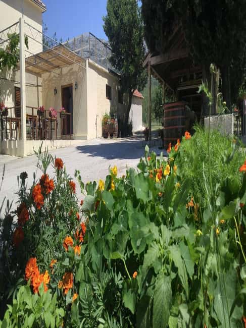 From Dubrovnik: Half-Day Wine Tasting and Cavtat City Tour - Wine tasting with proper food pairings
