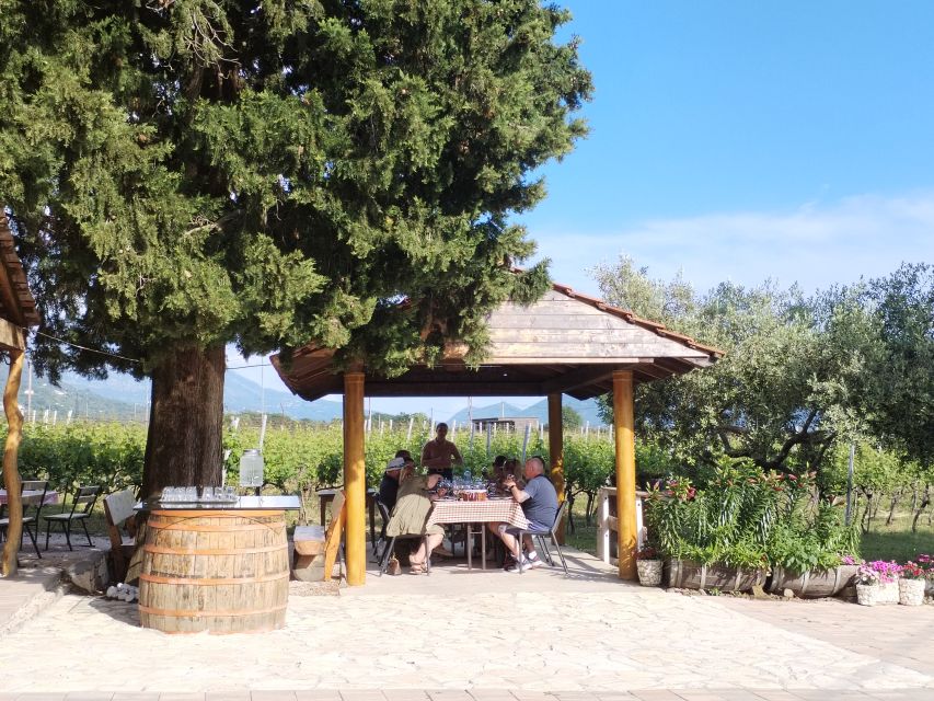 From Dubrovnik: Half-Day Wine Tasting and Cavtat City Tour - Who should book this experience?