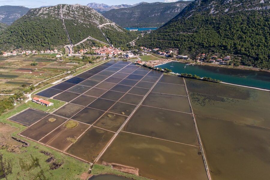 From Dubrovnik: Island of Korčula with wine tasting - Key points at a glance