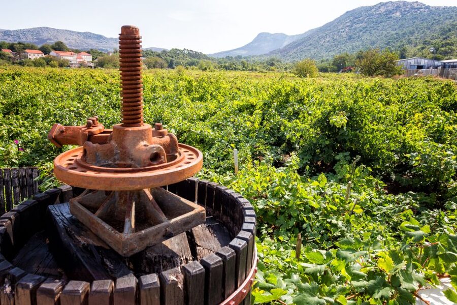 From Dubrovnik: Island of Korčula with wine tasting - What this Dubrovnik day trip is really offering