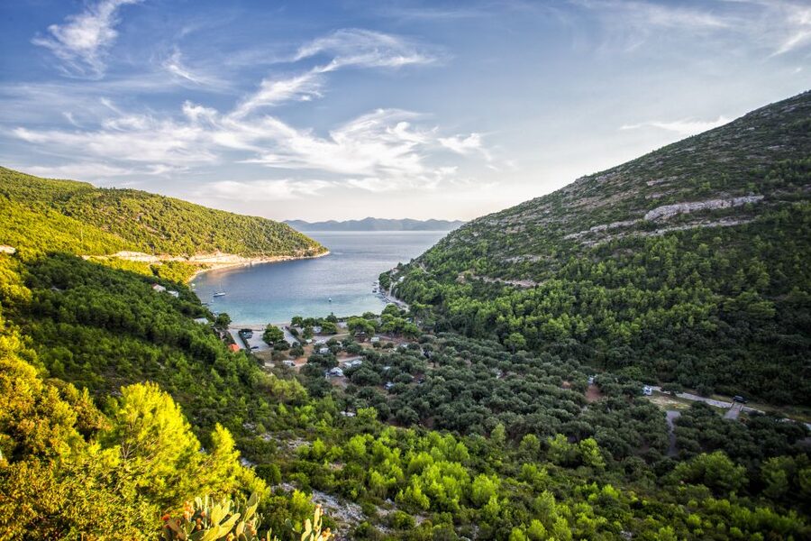 From Dubrovnik: Island of Korčula with wine tasting - The return journey and the final taste of Dalmatia