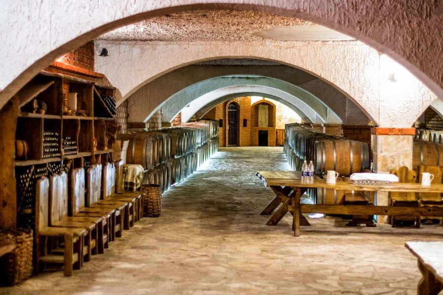 From Dubrovnik: Island of Korčula with wine tasting - Price, timing, and practical comfort