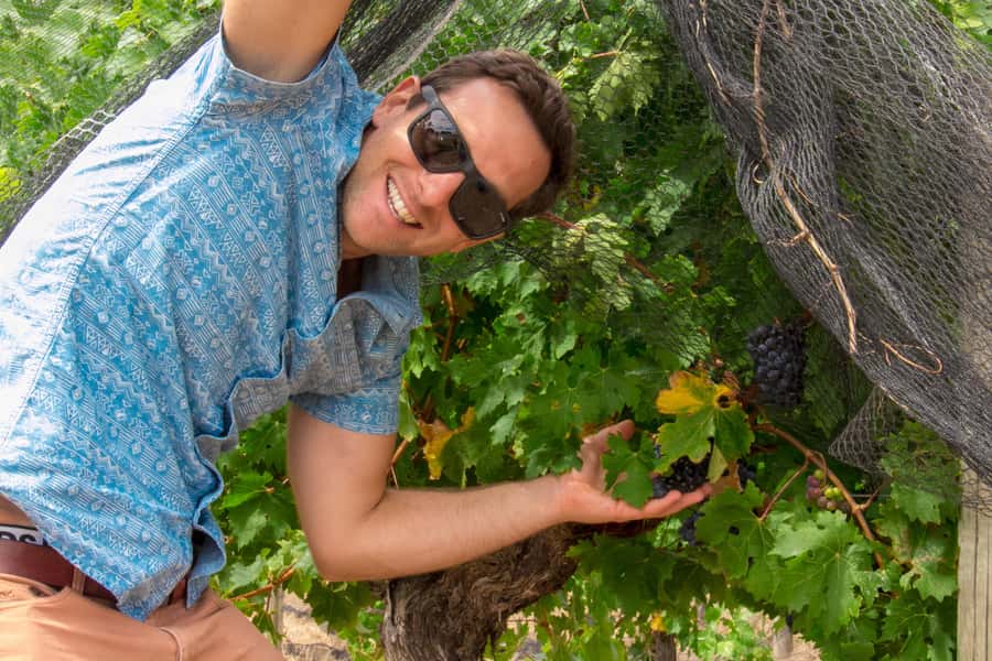 From Dunsborough/Busselton: Margaret River Wine Adventure - Why this six-hour Margaret River tour works