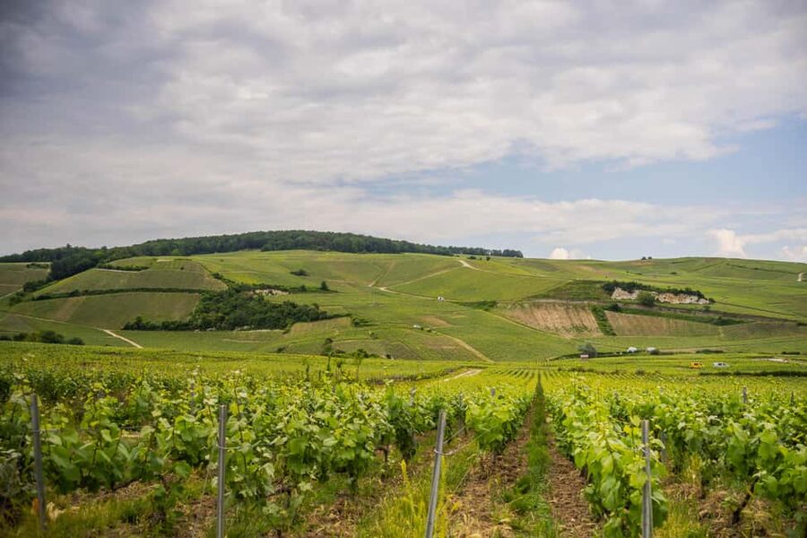 From Epernay : Champagne tasting with a vintage car - Practical Advice Before You Go