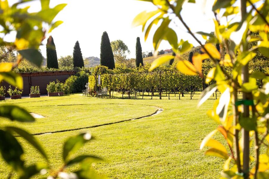 From Florence: Chianti Half-Day Wine Tour with Tasting - Tenuta Torciano brings more tasting and shopping