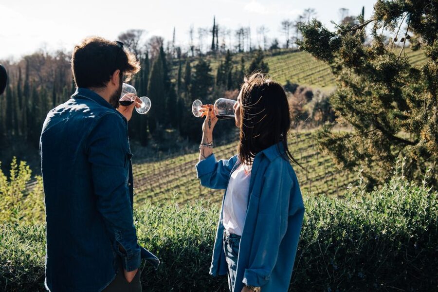 From Florence: Chianti Hills Half-Day Tour with Wine Tasting - What makes this Chianti tour worth your afternoon